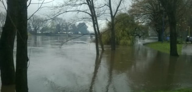 Osorno