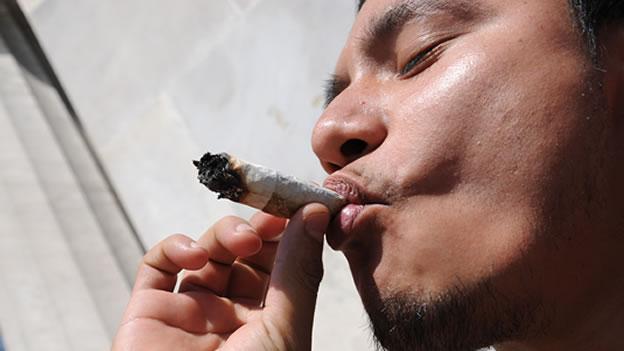marihuana chile
