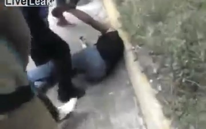pelea1