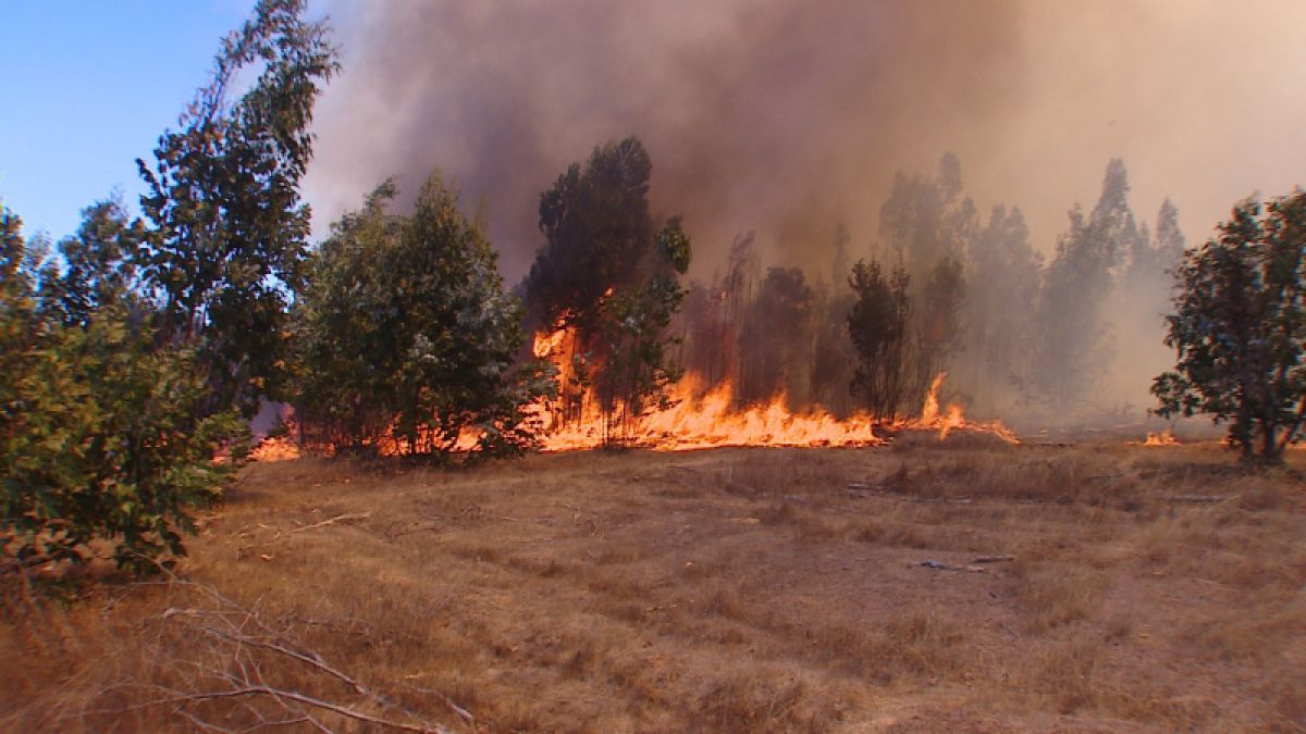 incendios