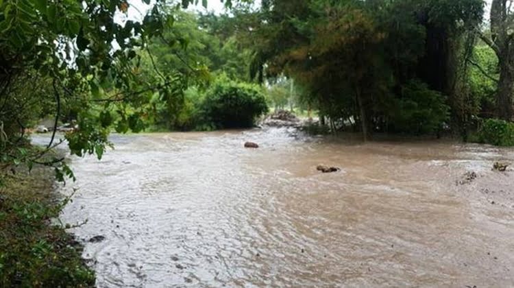 rio blanco-1