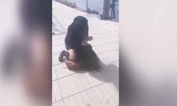 pelea-tile