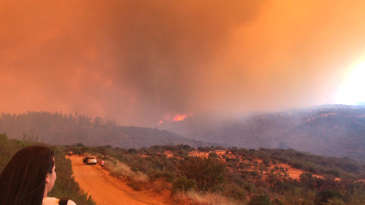 incendios forestales