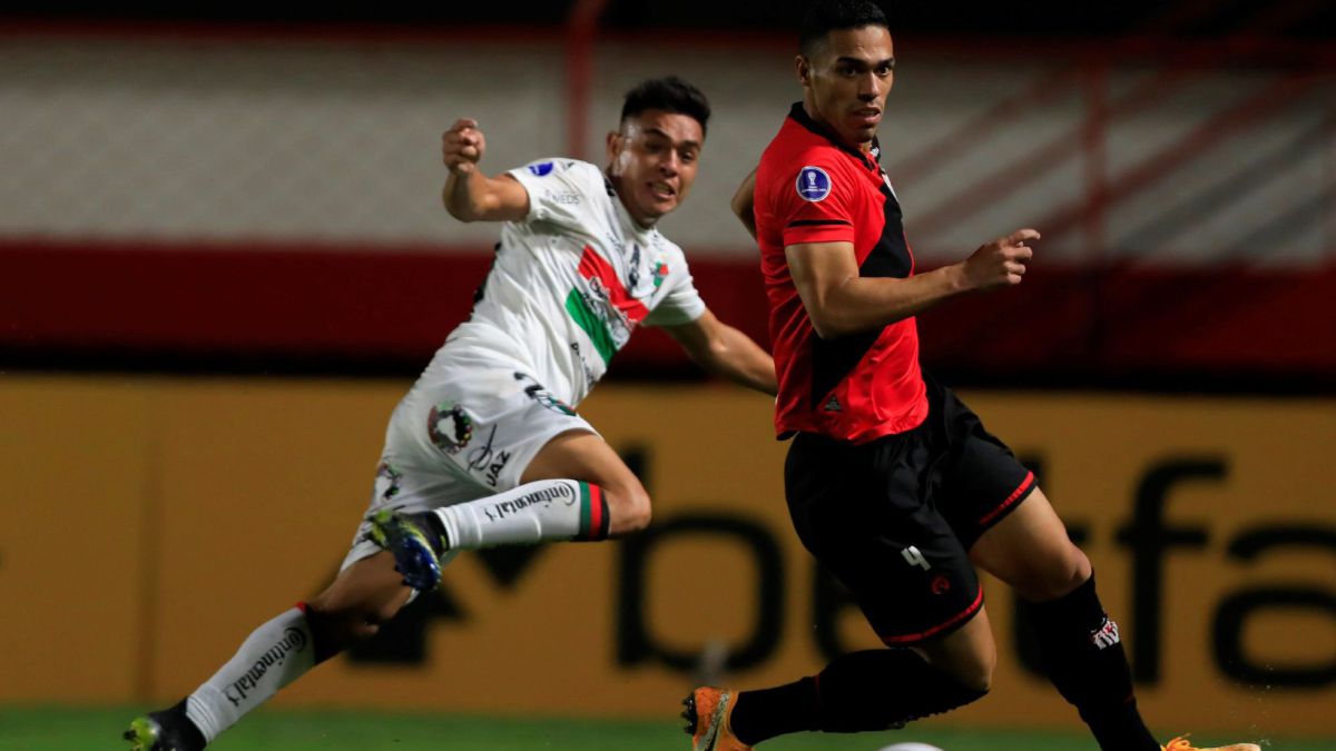 PALESTINO