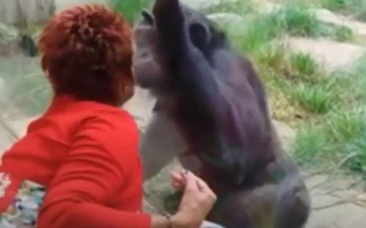 Zoológico