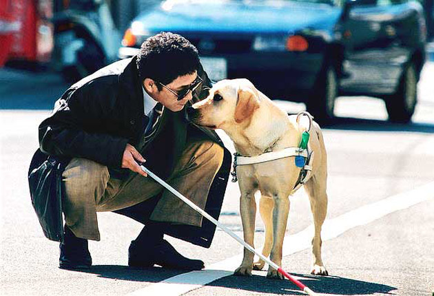 Perro