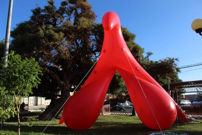 clítoris inflable