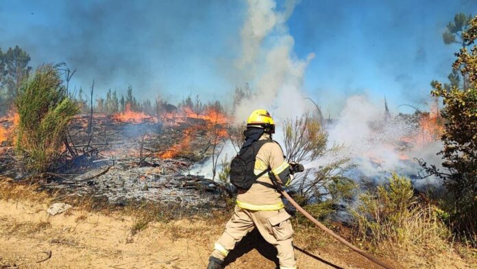 incendios forestales