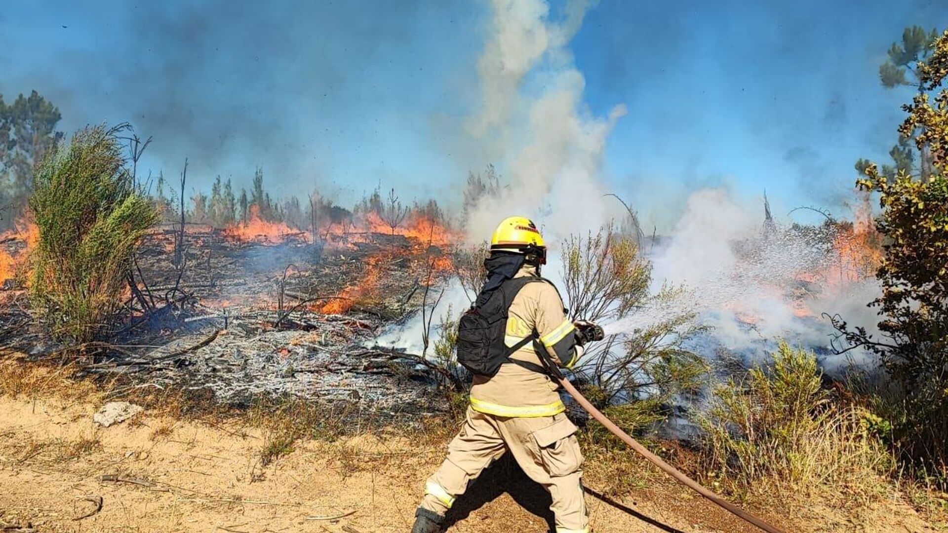 incendios forestales