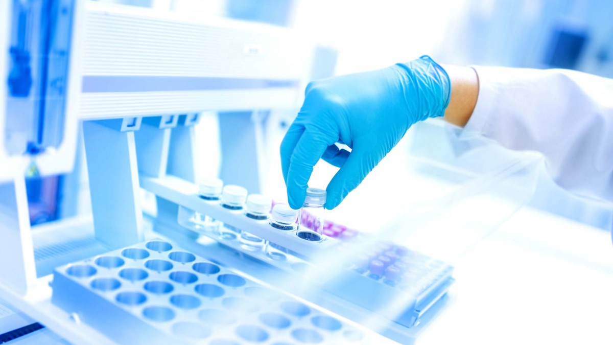 Biología Molecular