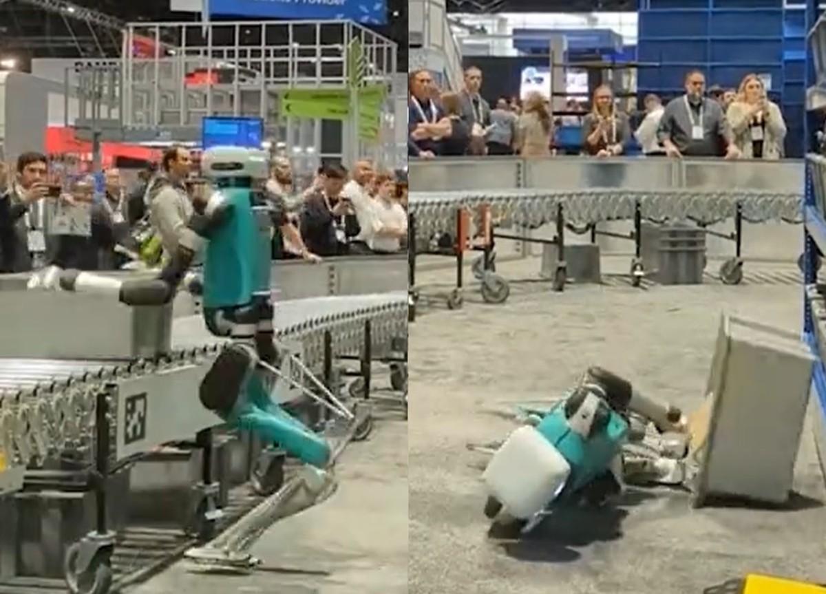 robot