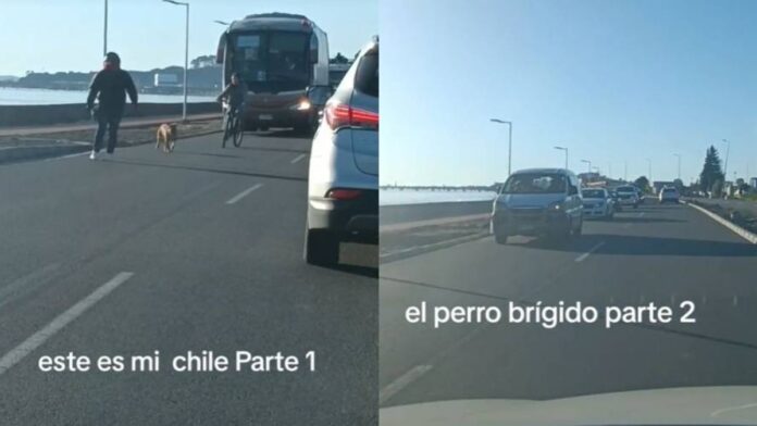 Concepción